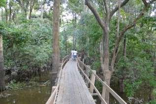 escuras do Rio Negro com