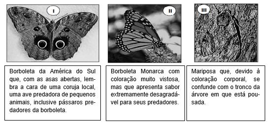 QUESTÃO 12 (CEFETMG Adaptada) Em algumas regiões brasileiras, existem exemplares de Euphorbia heterophylla, uma planta daninha bastante prejudicial à lavoura de soja e que pode ser resistente a