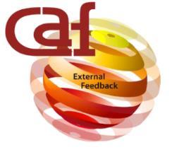 RELATÓRIO DE FEEDBACK EXTERNO DA CAF Effective CAF User (Utilizador Eficaz da CAF) Agrupamento de