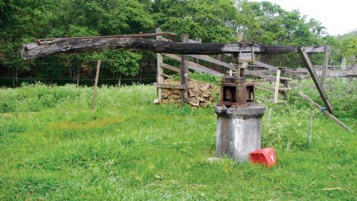 situação e ambiência Um pequeno jardim à frente da casa completa o conjunto,