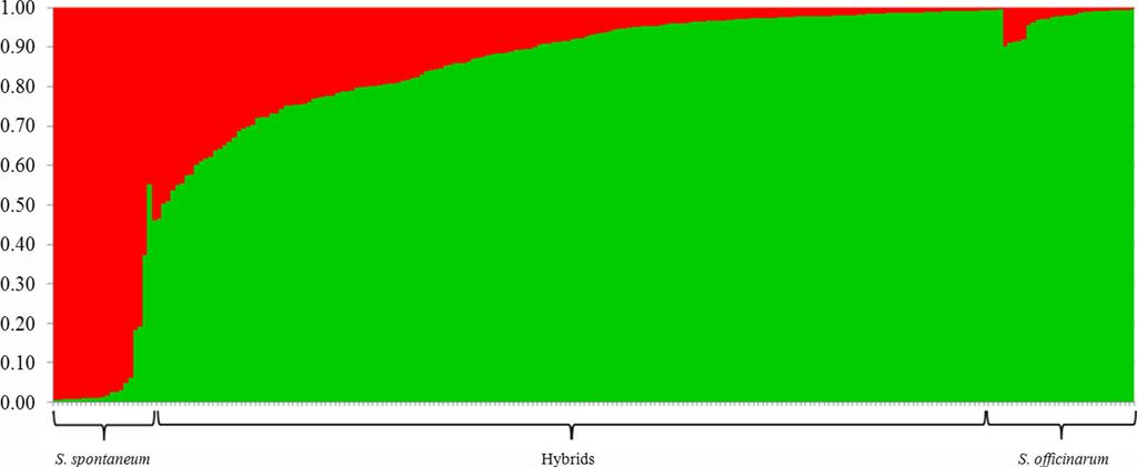 COMPOSIÇÃO GENÔMICA DA CANA-DE-AÇÚCAR E DA CANA ENERGIA CANA ENERGIA CANA-DE- AÇÚCAR Fig. 4. Estimated proportions of the genome arising from S. officinarum (green) and S.