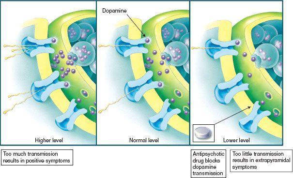 Desordens Psicóticas envolvem transmissão de muita Dopamina.