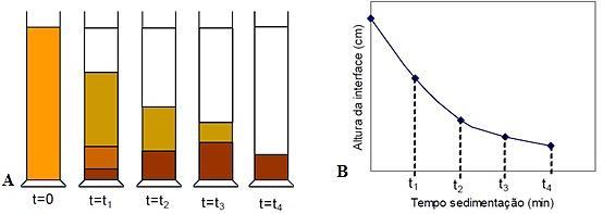 deixada em repouso verifica-se que, após certo tempo, as partículas mais grossas depositam no fundo do tubo e as partículas mais finas continuam em suspensão.