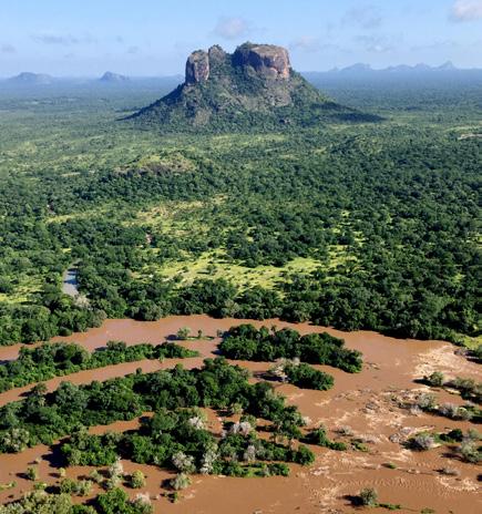 Este acampamento ecológico está localizado numa ilha com floresta e