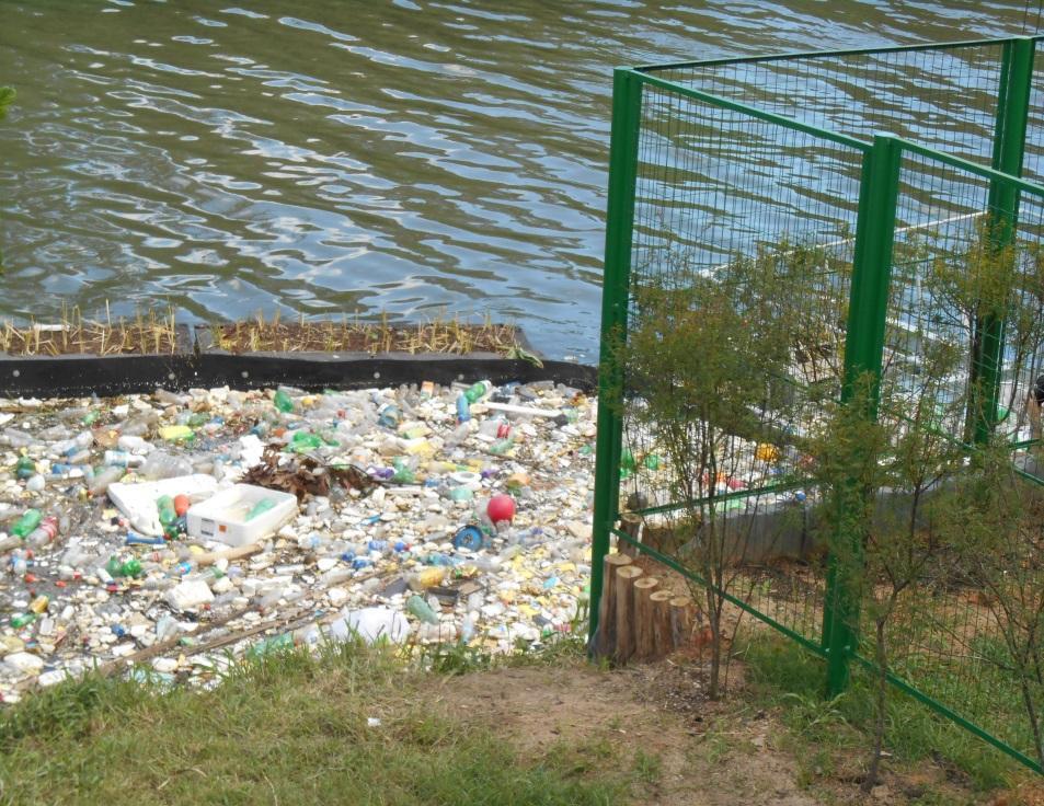 BARREIRA ECOLÓGICA Em 2 meses