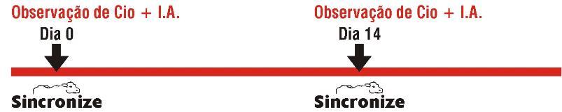EXEMPLOS DE PROGRAMAS UTILIZADOS COM O USO DO SINCRONIZE PROTOCOLO DE TRATAMENTO 1: SINCRONIZAÇÃO DE CIO Dia 0 = corresponde ao dia que o tratamento inicia.