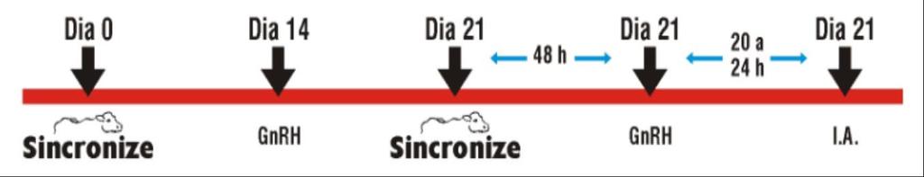 PROTOCOLO DE TRATAMENTO 3: SINCRONIZAÇÃO DA OVULAÇÃO PARA IATF - Aplicar uma dose de 2mL de SINCRONIZE; - 14 dias após aplicar um dose de GnRH; GnRh = promove a liberação de FSH e LH.