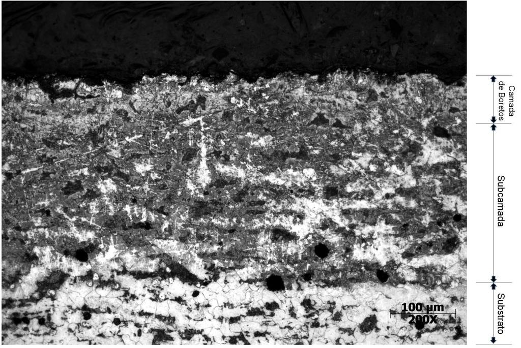 40 Figura 21: Micrografia por MO, amostra tratada a 900ºC, com um patamar de 60min. Aumento de 200X.