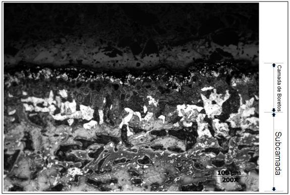 42 Figura 25: Micrografia por MO, amostra tratada a 1000ºC, com um patamar de 120min.