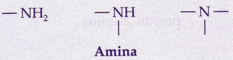 CLASSE FUNCIONAL AMINA As aminas são derivadas da amônia, na qual um, dois ou três dos