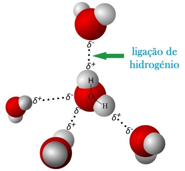 LIGAÇÃO DE HIDROGÊNIO: força de atração, não covalente, entre a carga parcial positiva de um átomo