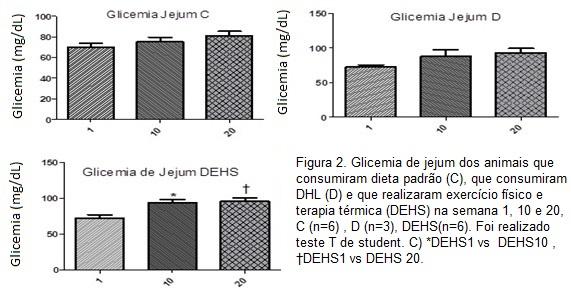 Os animais que receberam dieta hiperlipídica apresentaram maiores níveis de HSP70 muscular do que animais que receberam dieta padrão (Figura 3).