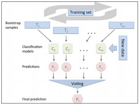 Figura.2: Representação do Bagging: construindo um conjunto de classificadores a partir de amostras bootstrap. Fonte: Sebastian (201). Figura.