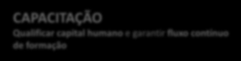 Projeto Brasil Digital Inovador e Competitivo 2015-2022 5 eixos estratégicos :: 15 linhas de ação :: 45 iniciativas 4 CAPACITAÇÃO Qualificar capital humano e garantir fluxo contínuo de formação
