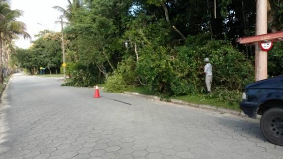 Também foi realizada a poda de galhos da área verde que invadiam o passeio público na Avenida São Lourenço (módulo 30). As podas foram feitas por empresa terceirizada.