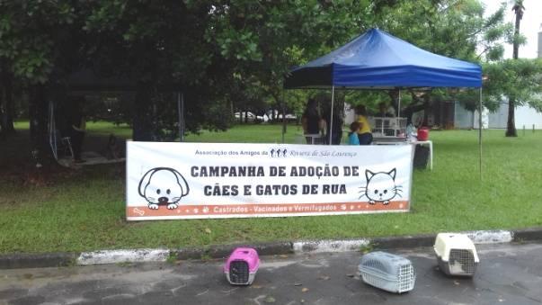 O evento foi realizado em parceria com a clínica veterinária La Matilha, Centro de Controle de Zoonoses do