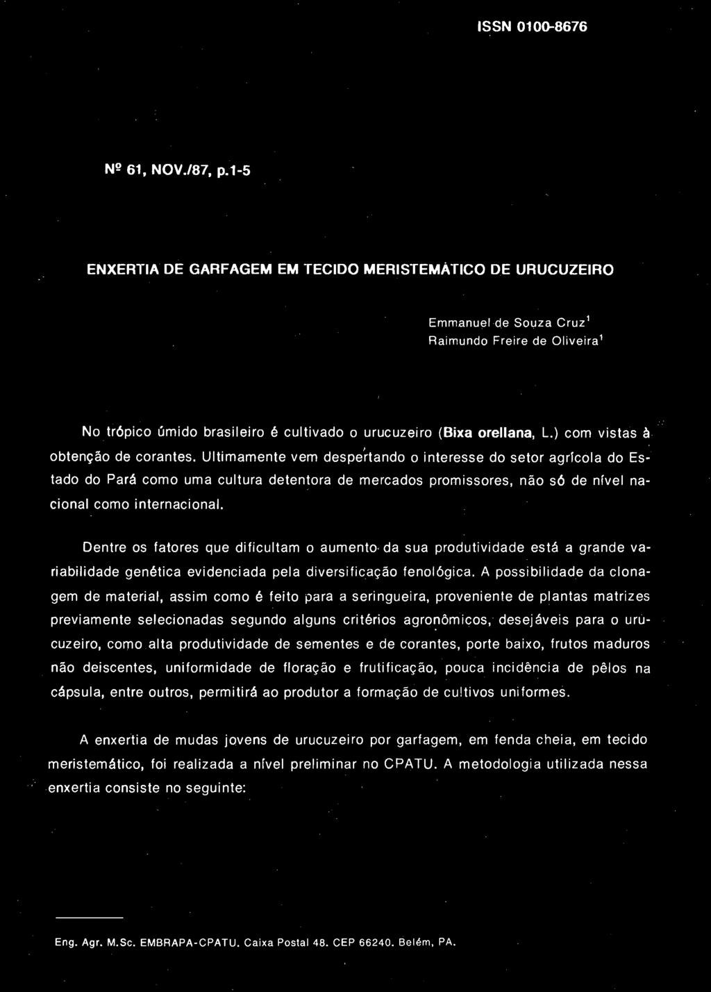 Ultimamente vem despertando o interesse do setor agricóla do Estado do Pará como uma cultura detentora de mercados promissores, não só de nível nacional como internacional.