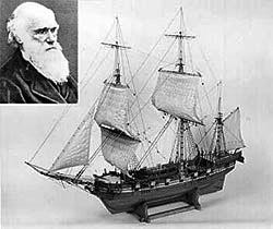4. (G1 - cps 2014) Em 1831 a bordo do navio Beagle, Charles Darwin, naturalista inglês, iniciou uma viagem de exploração científica pelo mundo, durante a qual fez importantes observações dos seres