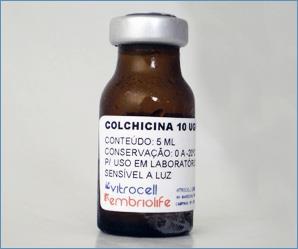 COLCHICINA Colchicina: É uma