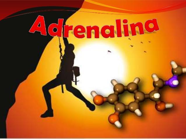 catecolaminas - adrenalina e noradrenalina, que prepara o corpo para