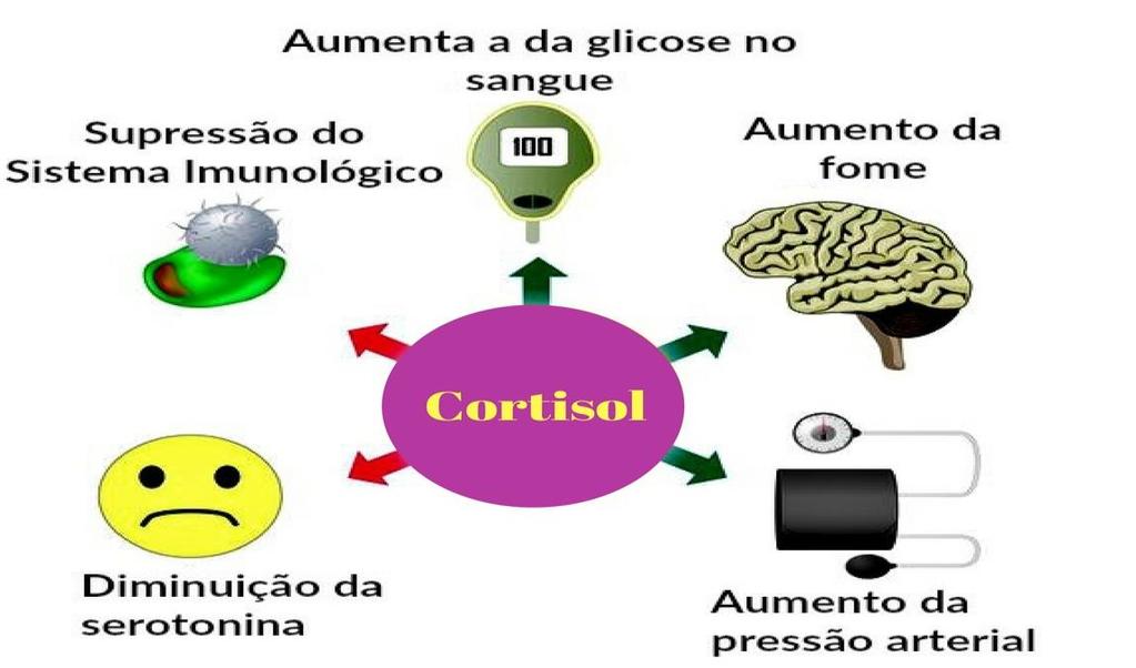 4. Hormônio do córtex Adrenais Cortisol (glicocorticoides): estimulado pelo ACTH, controla o metabolismo de proteínas, carboidratos e lipídeos.