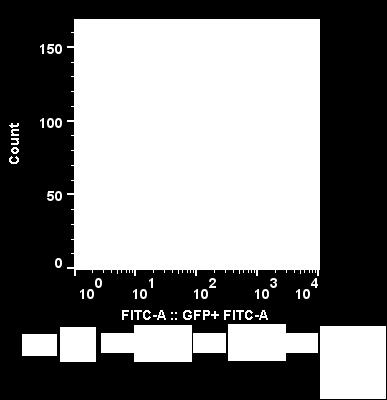 A avaliação da expressão dos receptores foi realizada através da técnica de citometria de fluxo (Figura A). O número de células GFP (+) após o bloqueio está apresentado na figura B.