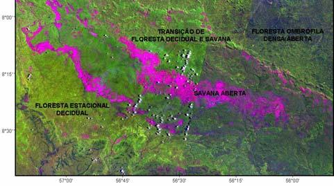 8 Figura 15 - corte mosaico das Imagens Landsat ETM + 228066 e 228065 composição R5G4B3 do ano de 2002 do município de Jacareacanga e Itaituba (PA) Figura 16 Classificação do corte da Imagem