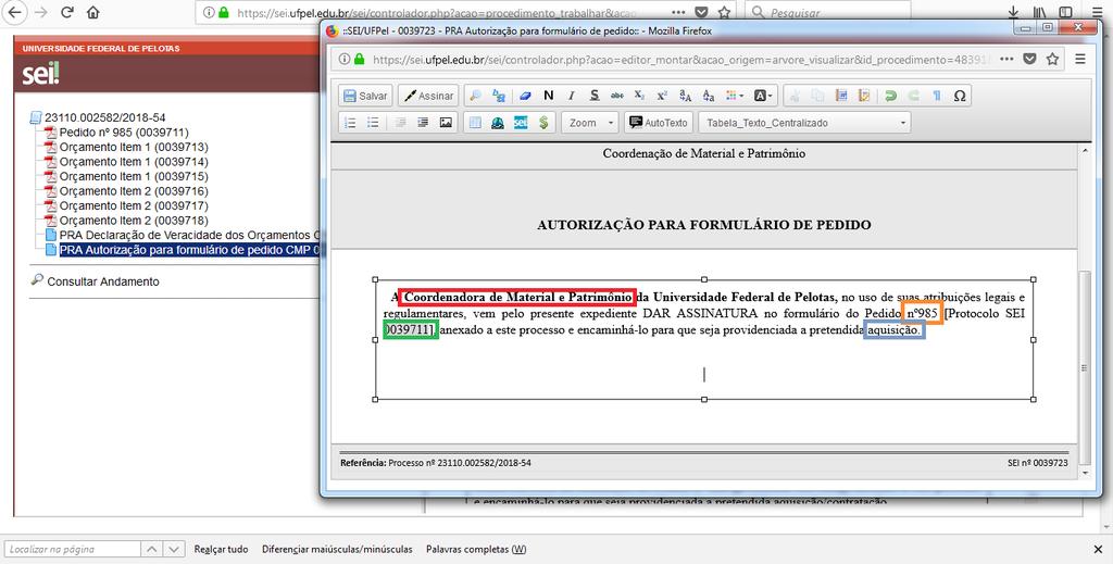 2 Escolha o Tipo de Documento PRA Autorização para formulário de pedido : Seguir as orientações dos itens