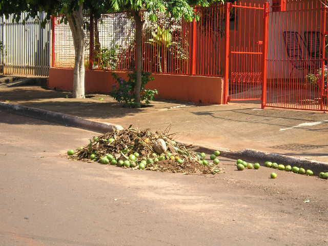 Necessidade de manutenção dos coletores públicos existentes 4.