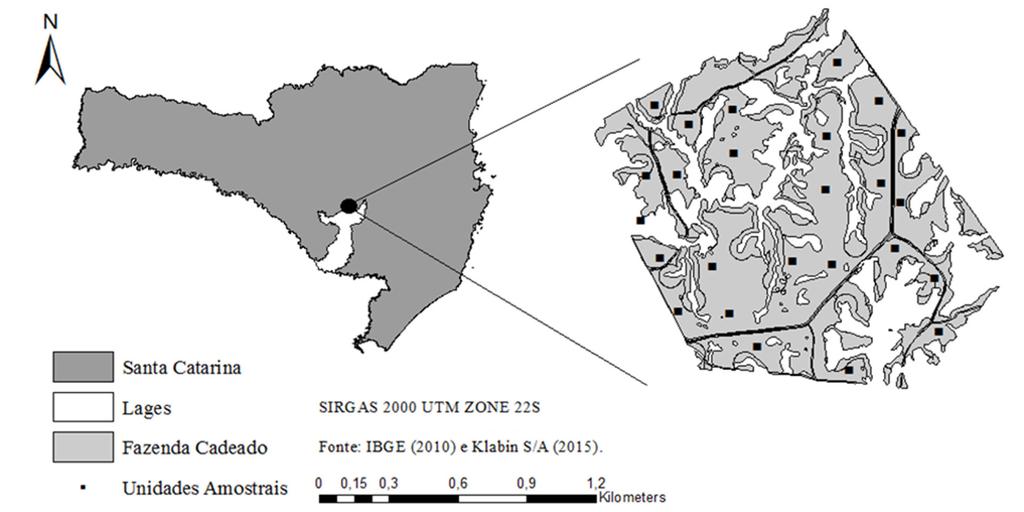 Zech et al. Uso de interpoladores espaciais na estratificação estatística de Pinus taeda dos estratos.