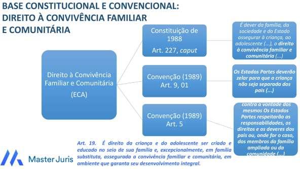 Página1 Curso/Disciplina: ECA (Estatuto da Criança e do Adolescente) Aula: Direito à convivência familiar e