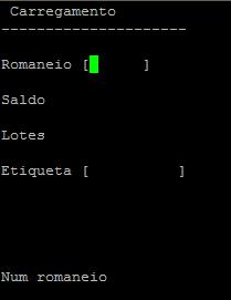 Após terminar de ler as etiquetas pertencentes ao Romaneio, encaminhar o Romaneio de Carregamento assinado para o ADM - Almoxarifado Irapuru. 3.