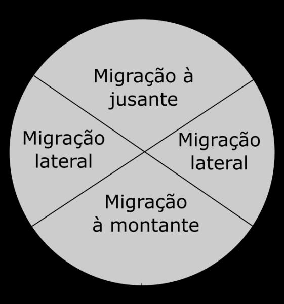 onde esses dados podem fornecer as importantes informações tridimensionais (Miall, 1996).