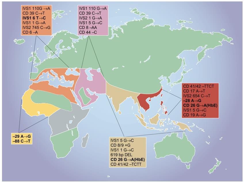 Figura 6- Distribuição global das mutações de beta talassemia.