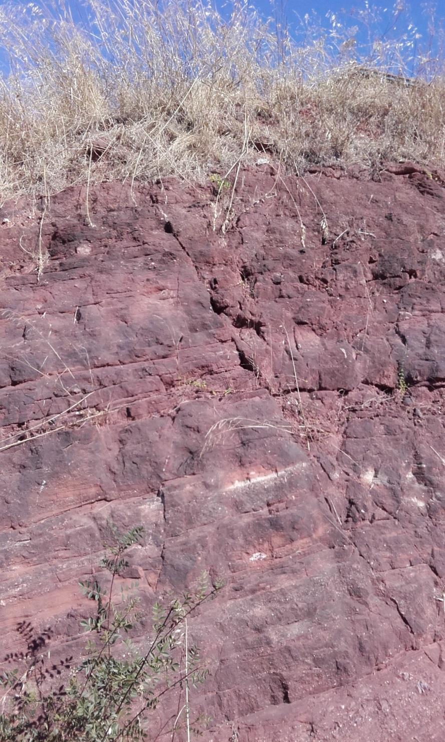 Falha normal Arenitos ferruginosos (Grés de Silves)