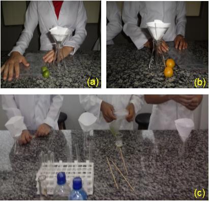 Metodologia Os procedimentos das extrações de DNA de diversas plantas e suas partes (caule, flores, frutos, dentre outras) ocorreram no Laboratório de Biologia do IFPB - Campus Campina Grande.