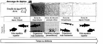 (ENEM 2004) Um rio que é localmente degradado por dejetos orgânicos nele lançados pode passar por um processo de autodepuração.