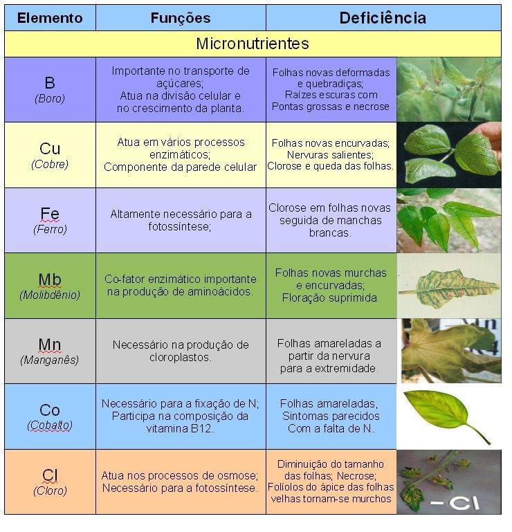 Micronutrientes Nutrientes absorvidos pelas plantas em quantidades menores.