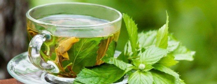 Beba este chá três vezes ao dia, quando você sinta dores. Ou, tente adicionar folhas de manjericão fresco a sua comida. 3.