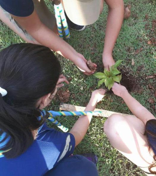 ESCOTEIROS DO MUNDO É um programa mundial que desafia jovens de 15 a 21 anos a pensar e agir contra os problemas da comunidade por meio de um projeto de trabalho voluntário, entregando a eles