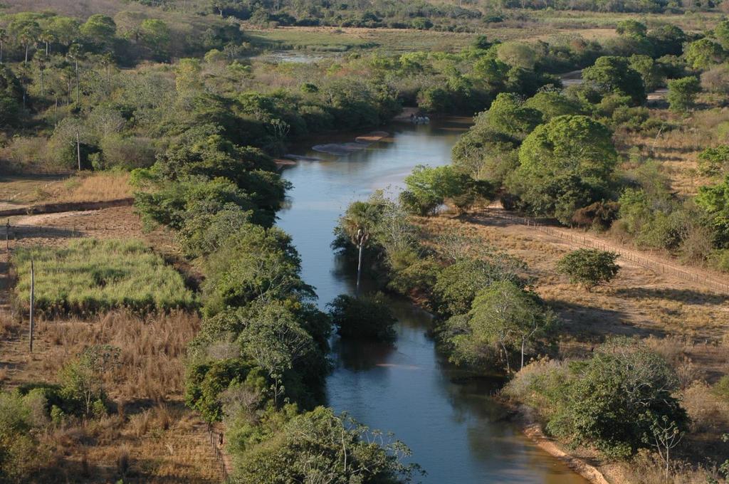 O avanço da ocupação humana sobre as matas é altamente impactante de um tipo de vegetação que se desenvolve às margens dos rios, se beneficiando da maior