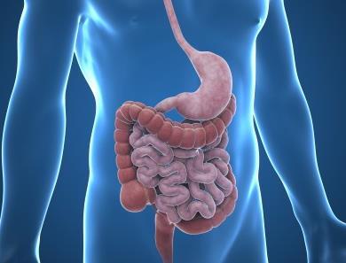 Complicações Gastro Intestinais Distensão Abdominal/Dilatação Gástrica É o acúmulo de gases e fezes no intestino, muito frequentes no PO de cirurgias abdominais.