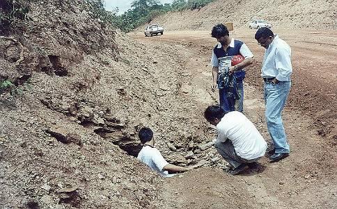 atingir o greide foi encontrada uma pequena cavidade no bordo direito da rodovia - km 10 (Estaca 502), Fig.02. Fig.-02-Cavidade Estaca 502 Ld.