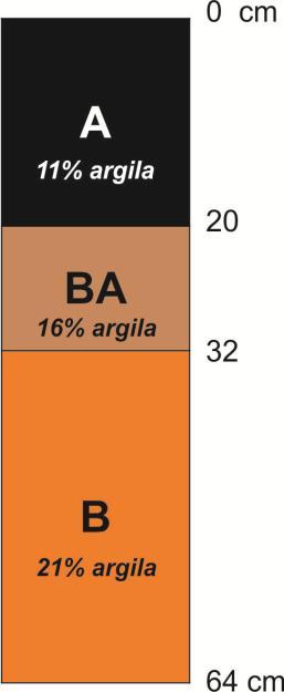 horizonte BA (se existir BA), numa espessura duas vezes maior do horizonte A (ou A + AB); excluindo o horizonte BC, se existir BC, figuras 9 e 10. Figura 9.