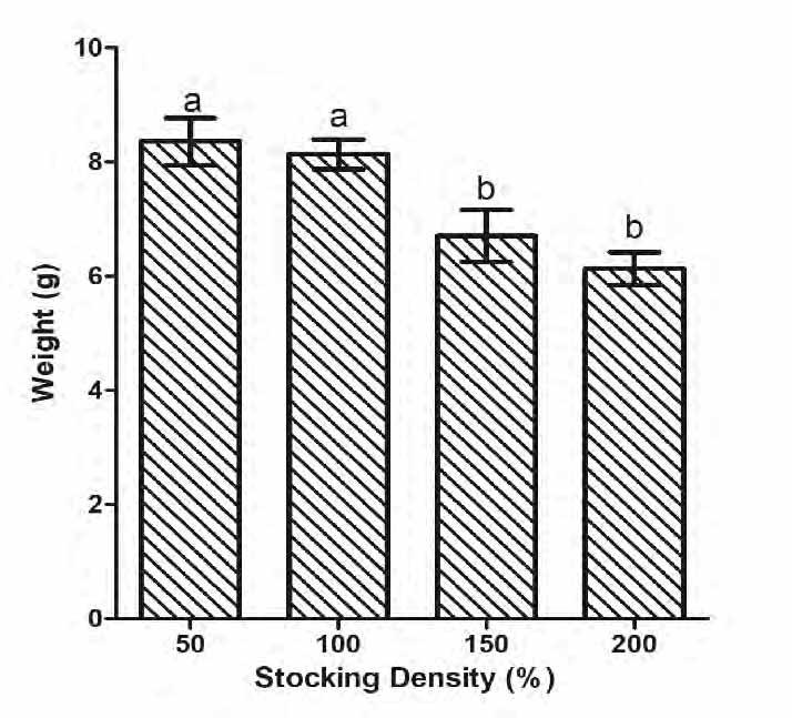 Stocking density Initial weight: 1.