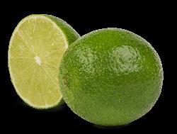 limões Acid lime and lemons Tangerinas