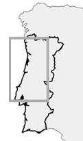 sedimentos a montante das zonas afetadas (APA, 2012). Figura 1. 1 - Localização da área de estudo (adaptado Coelho et al., 2009).