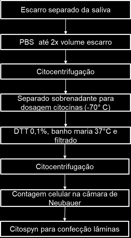 MÉTODOS - 41 Figura 2: Processamento do escarro induzido 5.6.