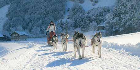 Atividades esportivas Sua viagem estará cheia de aventuras de tirar o fôlego: Corrida de dog sled (trenó puxado por cachorros) Caminhada de raquete de neve Corrida alucinante em quadriciclo de neve