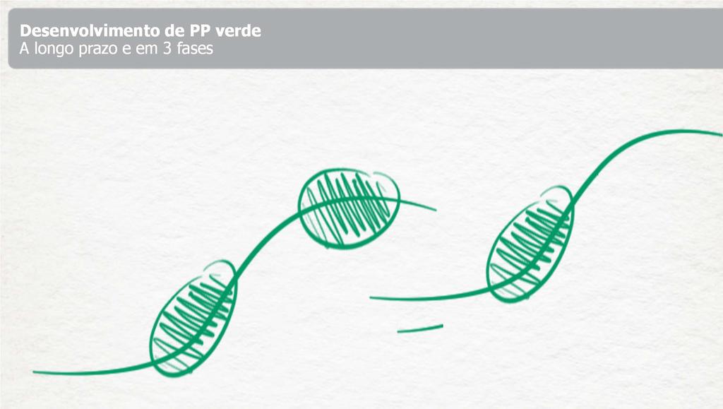 Desenvolvimento de PP verde A longo prazo e em 3 fases Performance Fase 1 Fase 2 Fase 3 Tecnologias em Uso - Combinação de tecnologias existentes - Menor tempo de entrada no mercado - Maior custo de